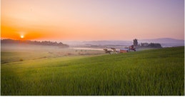 베스트갤러리 - 목장의 아침~1