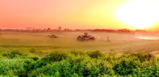 베스트갤러리 - 안성목장