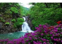 베스트갤러리 - 용소폭포