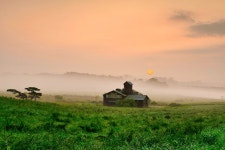 베스트갤러리 - 안성목장일출...