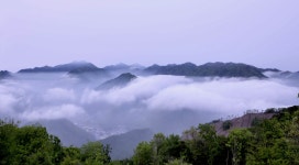 베스트갤러리 - 운해