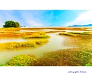 베스트갤러리 - 황산도