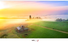 베스트갤러리 - 안성목장 2019