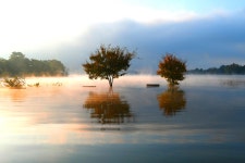 베스트갤러리 - 물안개 피는 호수에서