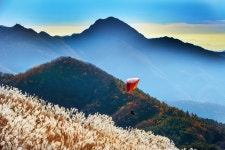 베스트갤러리 - 유명산의 아침