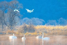 베스트갤러리 - 경안천 소식