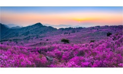 베스트갤러리 - 비슬산 파노라마