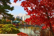 베스트갤러리 - 중앙박물관