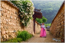 베스트갤러리 - 찔래꽃 피는 토담집