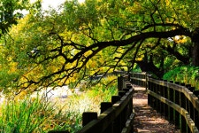 베스트갤러리 - 임실 대정제 소경