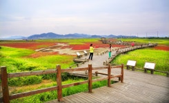 베스트갤러리 - 생태 천국의 길