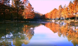 베스트갤러리 - 메타길 반영