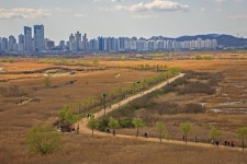 베스트갤러리 - 갯골생태공원