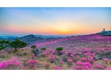 베스트갤러리 - 해뜨는 아침