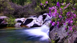 베스트갤러리 - 월성계곡