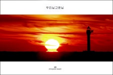 베스트갤러리 - 고운님우리님