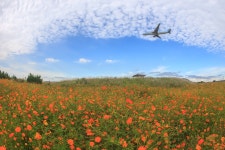베스트갤러리 - 인천공항 하늘정원
