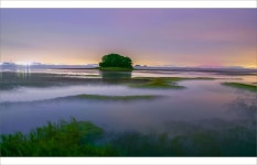 베스트갤러리 - 황산도