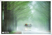 베스트갤러리 - 안개낀 메타길