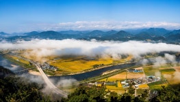 베스트갤러리 - 황금 들녁