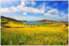 베스트갤러리 - 청산도의 봄