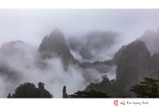 베스트갤러리 - 수묵화