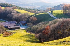 베스트갤러리 - 대관령 양떼목장의 가을