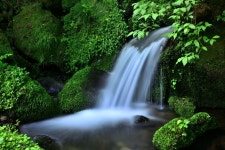 베스트갤러리 - 이끼계곡