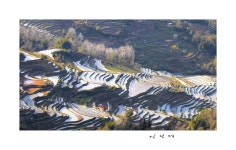 베스트갤러리 - 삶의 터