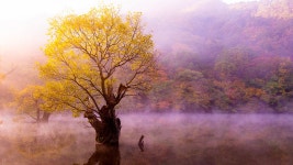 베스트갤러리 - 주산지