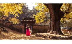 베스트갤러리 - 아름다운 금시당에서 ------