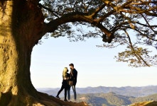 베스트갤러리 - 해뜬날