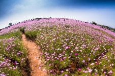 베스트갤러리 - 동산