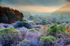 베스트갤러리 - 정원에서...