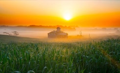 베스트갤러리 - 목장의 새벽