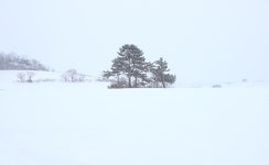 베스트갤러리 - 고창 학원농장 설원