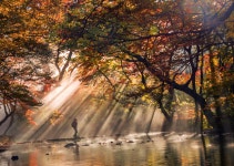 베스트갤러리 - 선운사 도솔천의 가을