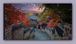 베스트갤러리 - 늦가을 범어사에서 ---