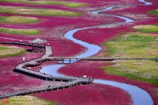 베스트갤러리 - 태평염전
