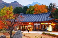 베스트갤러리 - 설악산 식당