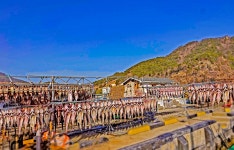 베스트갤러리 - 외포항