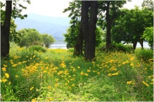 베스트갤러리 - 다산 길에서