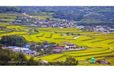 베스트갤러리 - 고향마을 같은 느낌이어서 -------