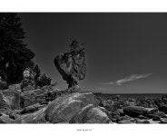 베스트갤러리 - 솔