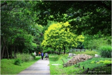 베스트갤러리 - 인천수목원