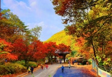 베스트갤러리 - 소요산 일주문