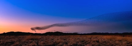 베스트갤러리 - 금강하구둑에서...