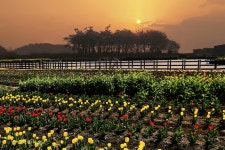 베스트갤러리 - 장평지의 아침