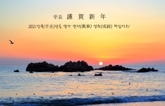 베스트갤러리 - 신축년