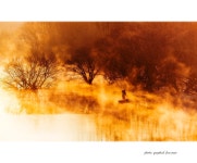 베스트갤러리 - 합천 환타지